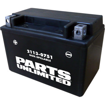 Maintenance Free Sport Bike Battery