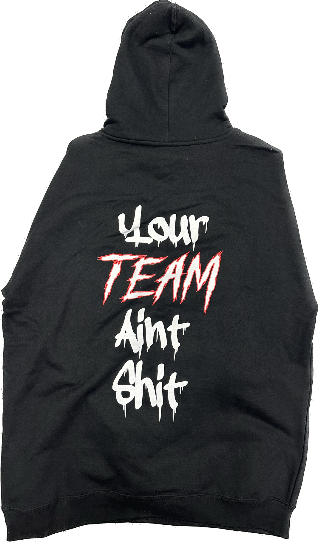 Your Team Aint Shit Hoodie